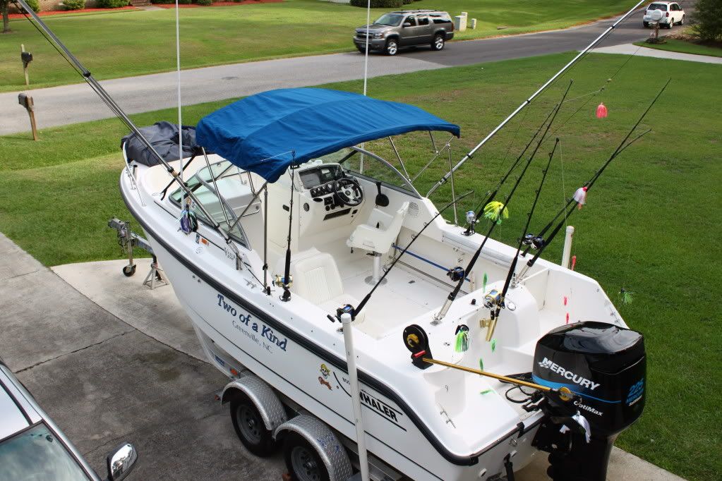 rod holders on transom The Hull Truth Boating and Fishing Forum